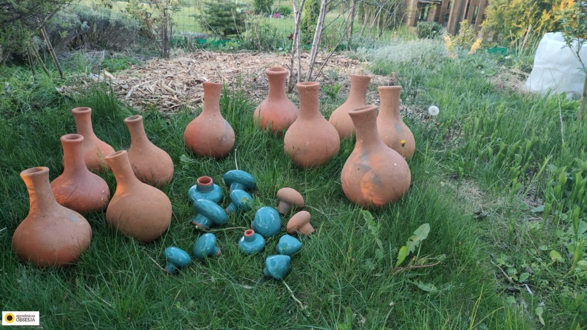 Olla dzbanki