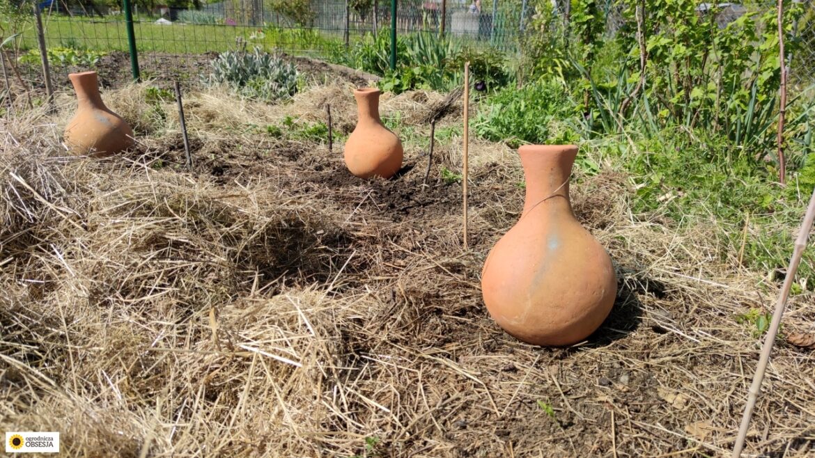 Olla dzbany2
